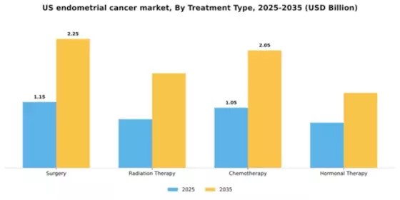 US Endometrial Cancer Market Segment Image 4