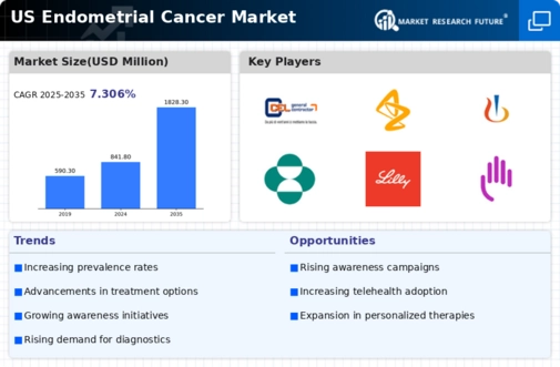 US Endometrial Cancer Market Infographic
