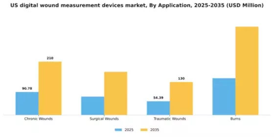 US Digital Wound Measurement Devices Market Segment Image 0