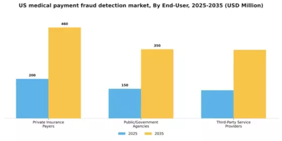 US Medical Payment Fraud Detection Market Segment Image 2