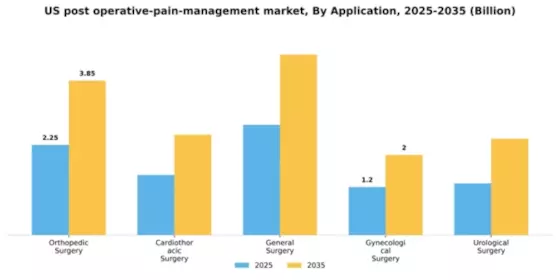 US Post-Operative Pain Management Market Segment Image 1