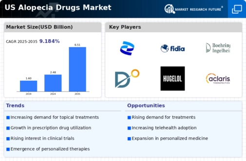US Alopecia Drugs Market Infographic