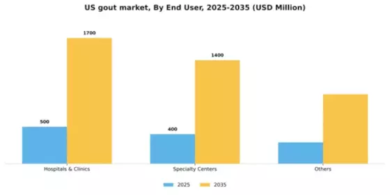 US Gout Market Segment Image 1