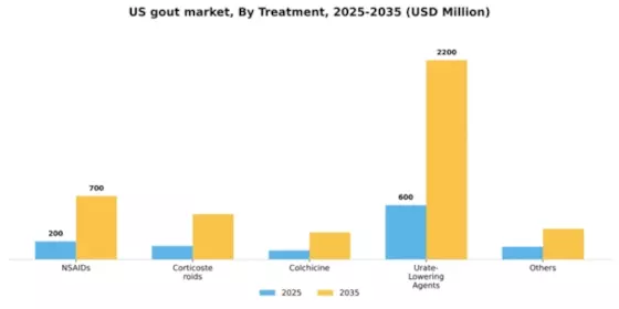 US Gout Market Segment Image 2