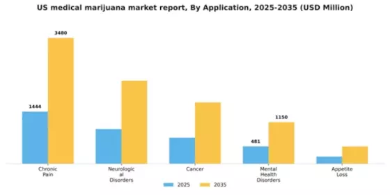 US Medical Marijuana Market Segment Image 0