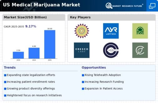 US Medical Marijuana Market Infographic