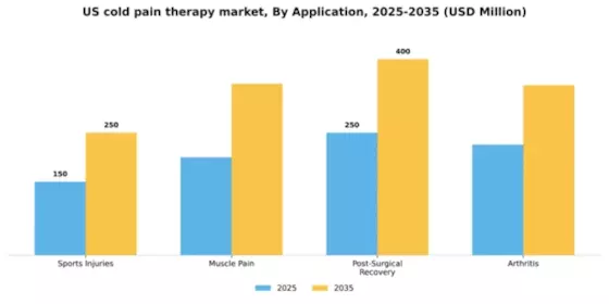 US Cold Pain Therapy Market Segment Image 0