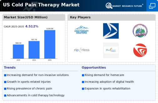 US Cold Pain Therapy Market Infographic