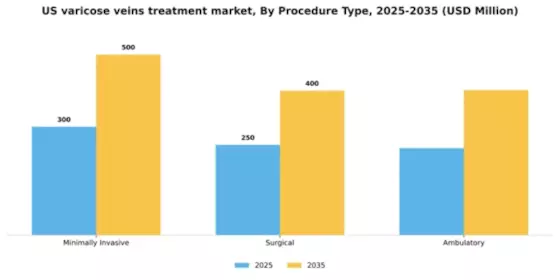 US Varicose Veins Treatment Market Segment Image 2