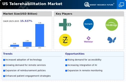 US Telerehabilitation Market Infographic