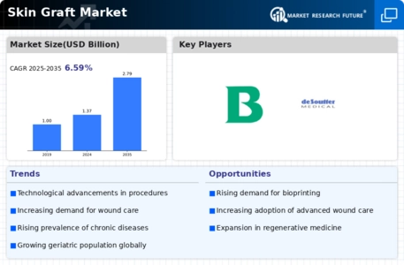 Skin Graft Market Infographic