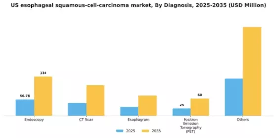 US Esophageal Squamous Cell Carcinoma Market Segment Image 0