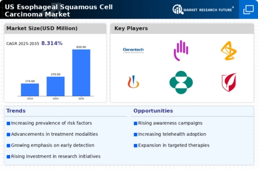 US Esophageal Squamous Cell Carcinoma Market Infographic