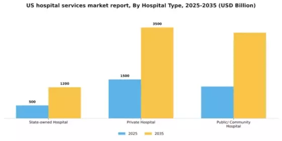 US Hospital Services Market Segment Image 0