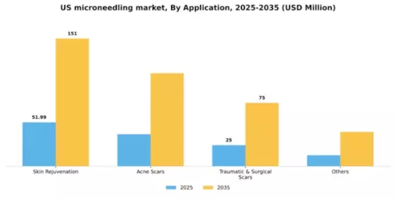 US Microneedling Market Segment Image 0