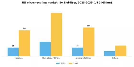 US Microneedling Market Segment Image 1