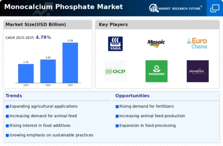 Monocalcium Phosphate Market Infographic