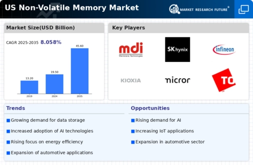 US Non Volatile Memory Market Infographic