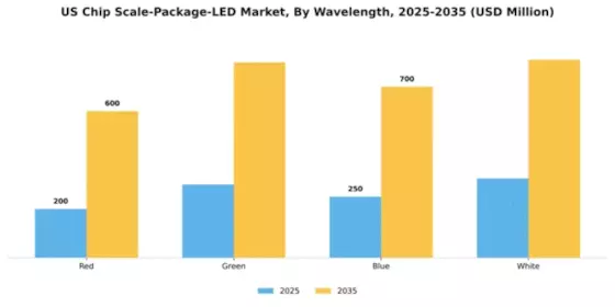 US Chip Scale Package LED Market Segment Image 3