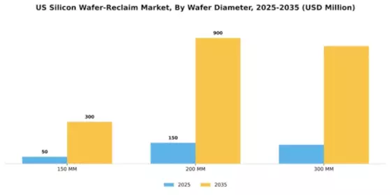 US Silicon Wafer Reclaim Market Segment Image 1