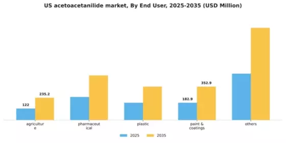 US Acetoacetanilide Market Segment Image 1