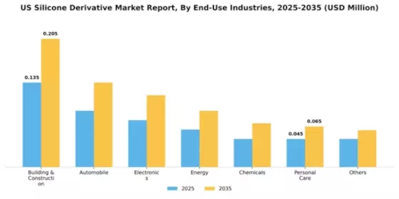 US Silicone Derivative Market Segment Image 0