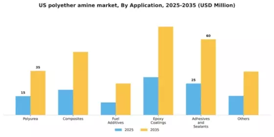 US Polyether Amine Market Segment Image 0