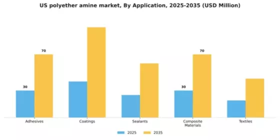 US Polyether Amine Market Segment Image 0