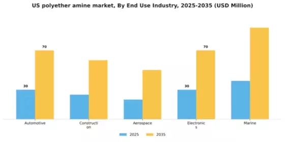 US Polyether Amine Market Segment Image 1