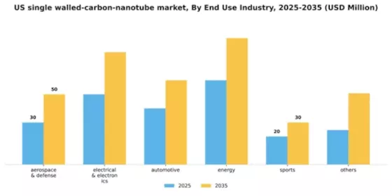 US Single Walled Carbon Nanotube Market Segment Image 0