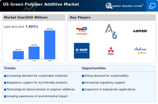 US Green Polymer Additive Market Infographic