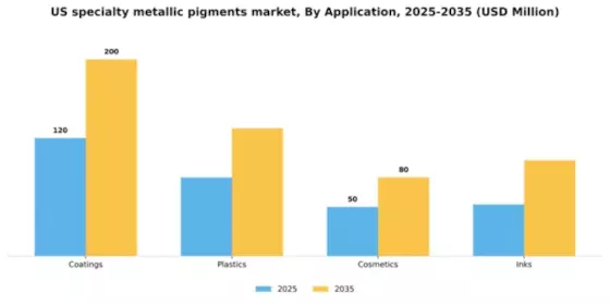 US Specialty Metallic Pigments Market Segment Image 0