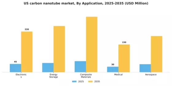 US Carbon Nanotube Market Segment Image 0