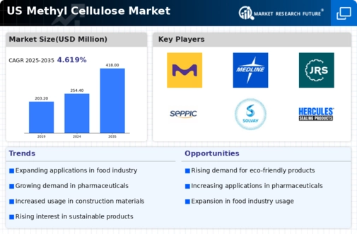 US Methyl Cellulose Market Infographic