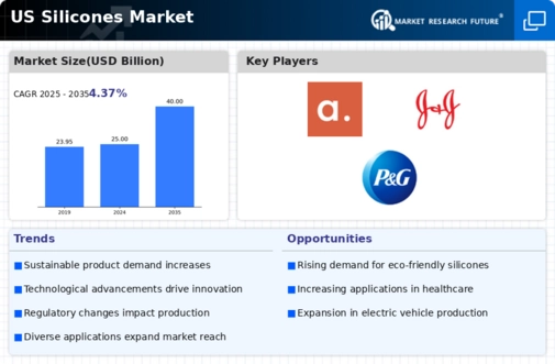 US Silicones Market Infographic