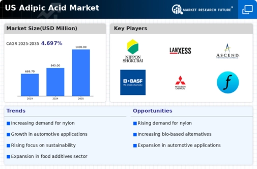 US Adipic Acid Market Infographic
