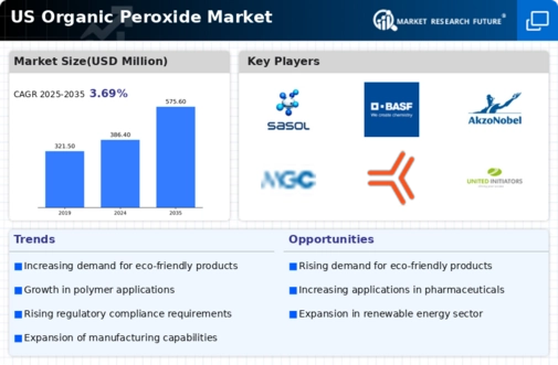 US Organic Peroxide Market Infographic