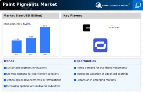 Paint Pigments Market Infographic
