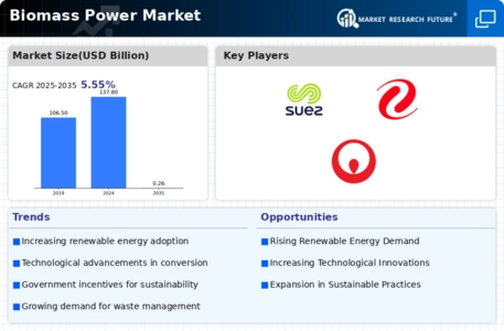 Biomass Power Market Infographic