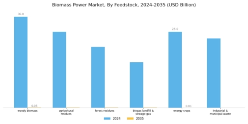 Biomass Power Market Segment Image 0