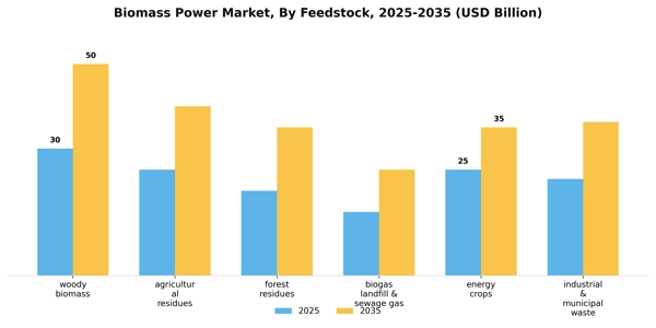 Biomass Power Market Segment Image 1