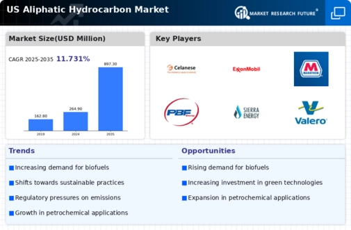 US Aliphatic Hydrocarbon Market Infographic
