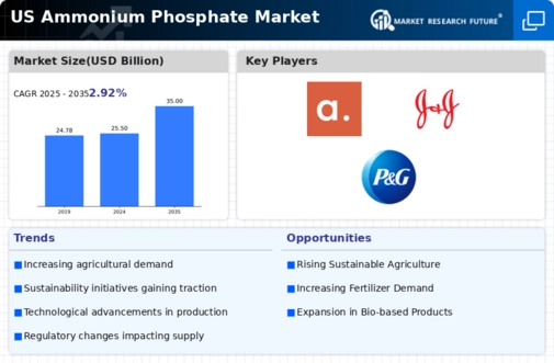 US Ammonium Phosphate Market Infographic