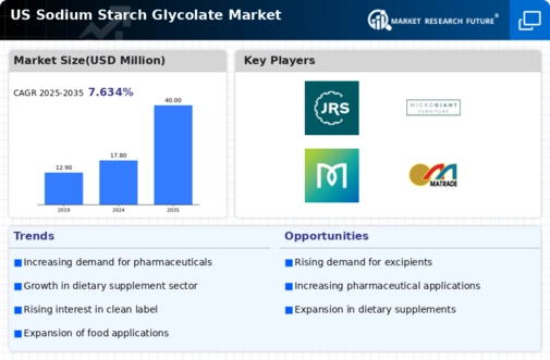 US Sodium Starch Glycolate Market Infographic