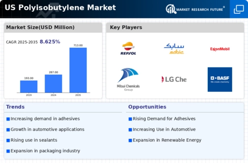 US Polyisobutylene Market Infographic