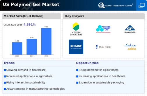 US Polymer Gel Market Infographic