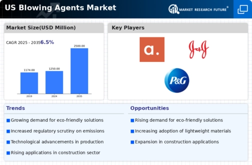 US Blowing Agents Market Infographic