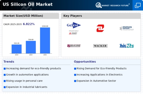 US Silicon Oil Market Infographic