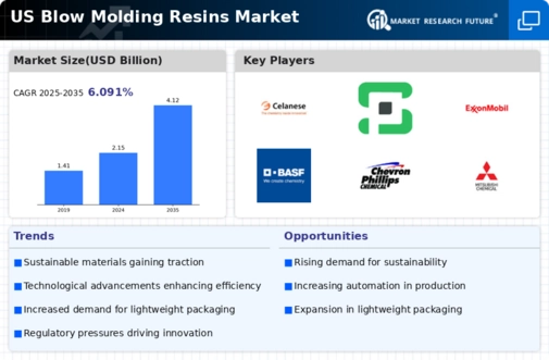 US Blow Molding Resins Market Infographic