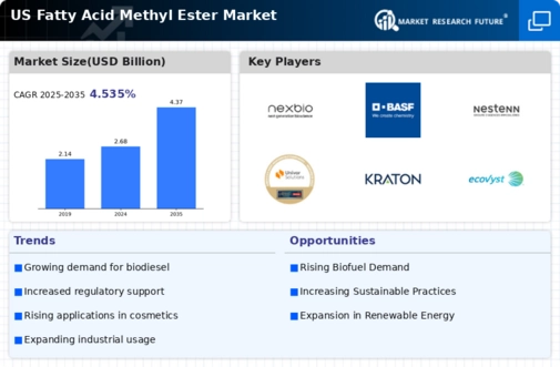 US Fatty Acid Methyl Ester Market Infographic